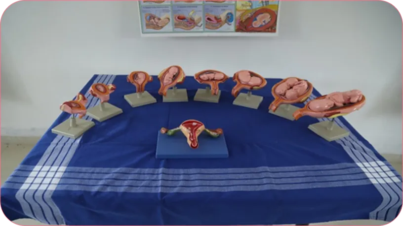 Obstetrics and Gynaecology Lab